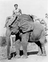 Johnny Weissmuller riding an elephant vintage photo print.