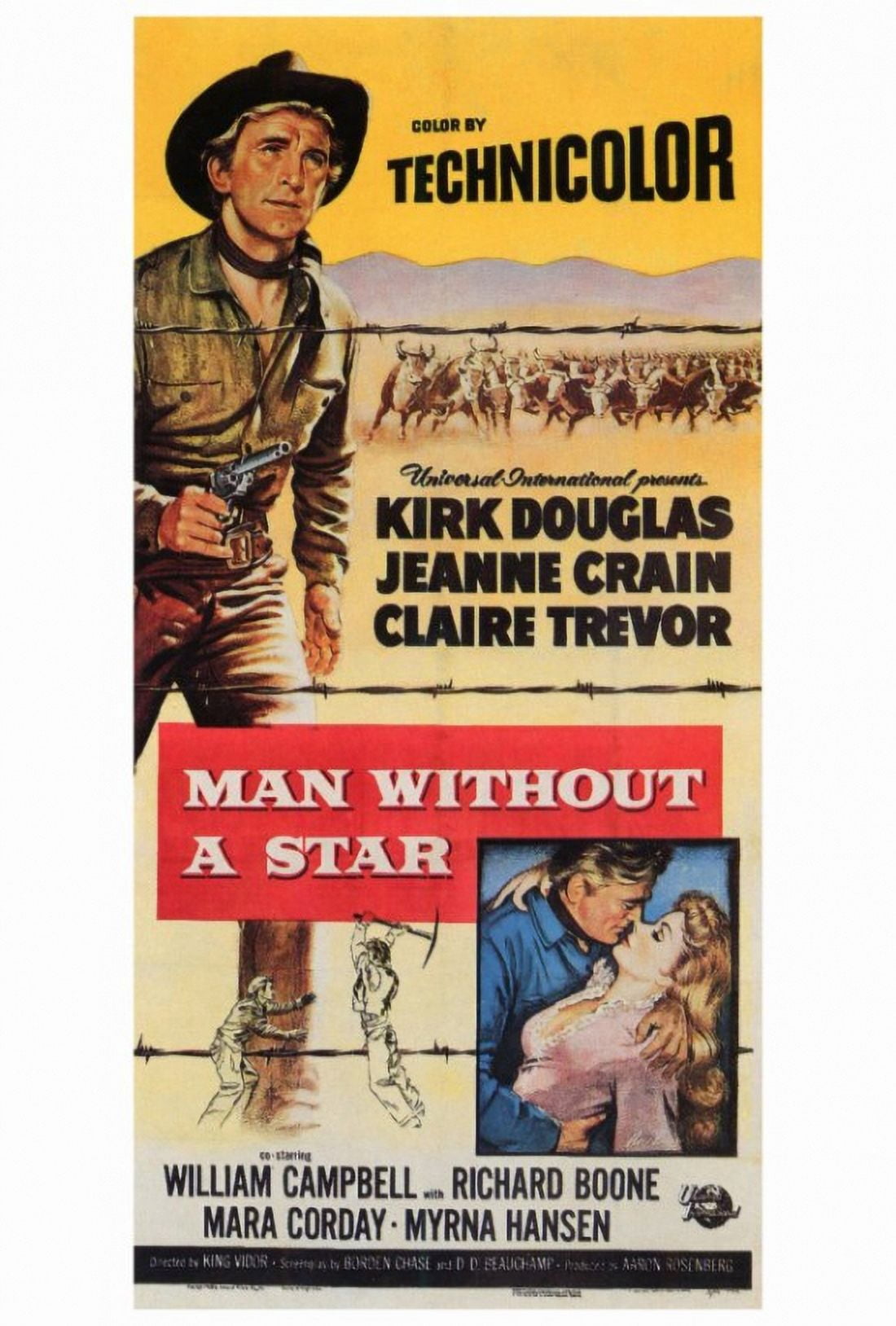 Man Without a Star Movie Poster Print in 27x40 size.