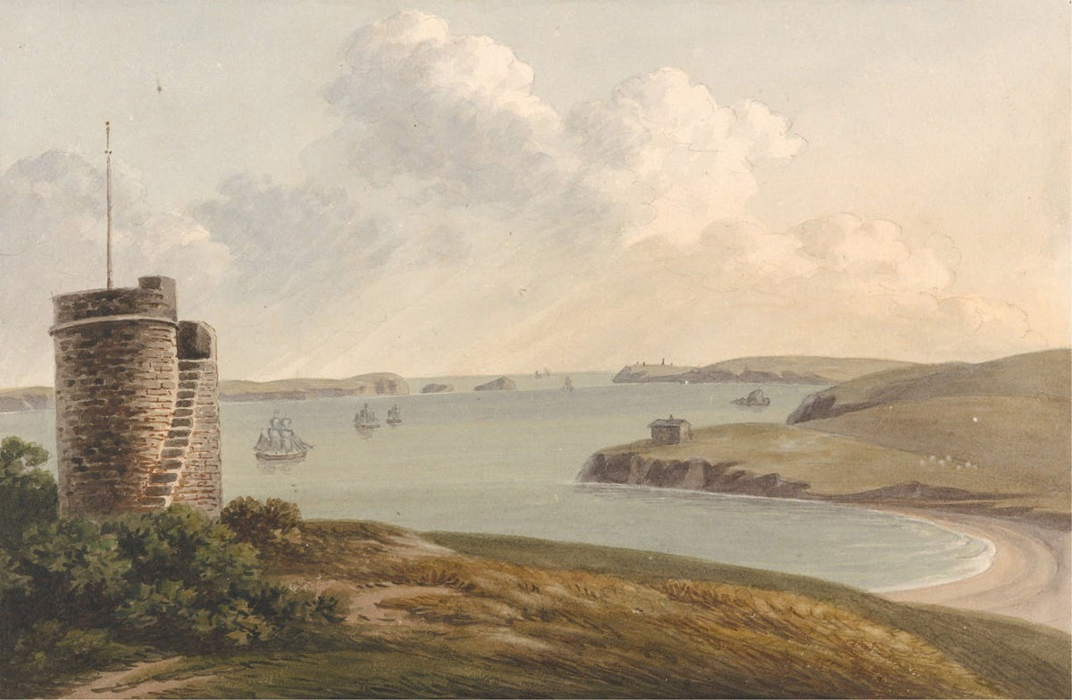 View from the Vidette Near Hakin on Signal Hill Poster Print by John Warwick Smith
