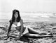Raquel Welch 1968 photo poster print from The Biggest Bundle Of Them All