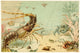 Crustaceans Art Poster Print 1893-1896 showcasing marine life.