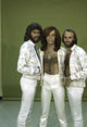 The Bee Gees photo print capturing iconic music legends in high quality.