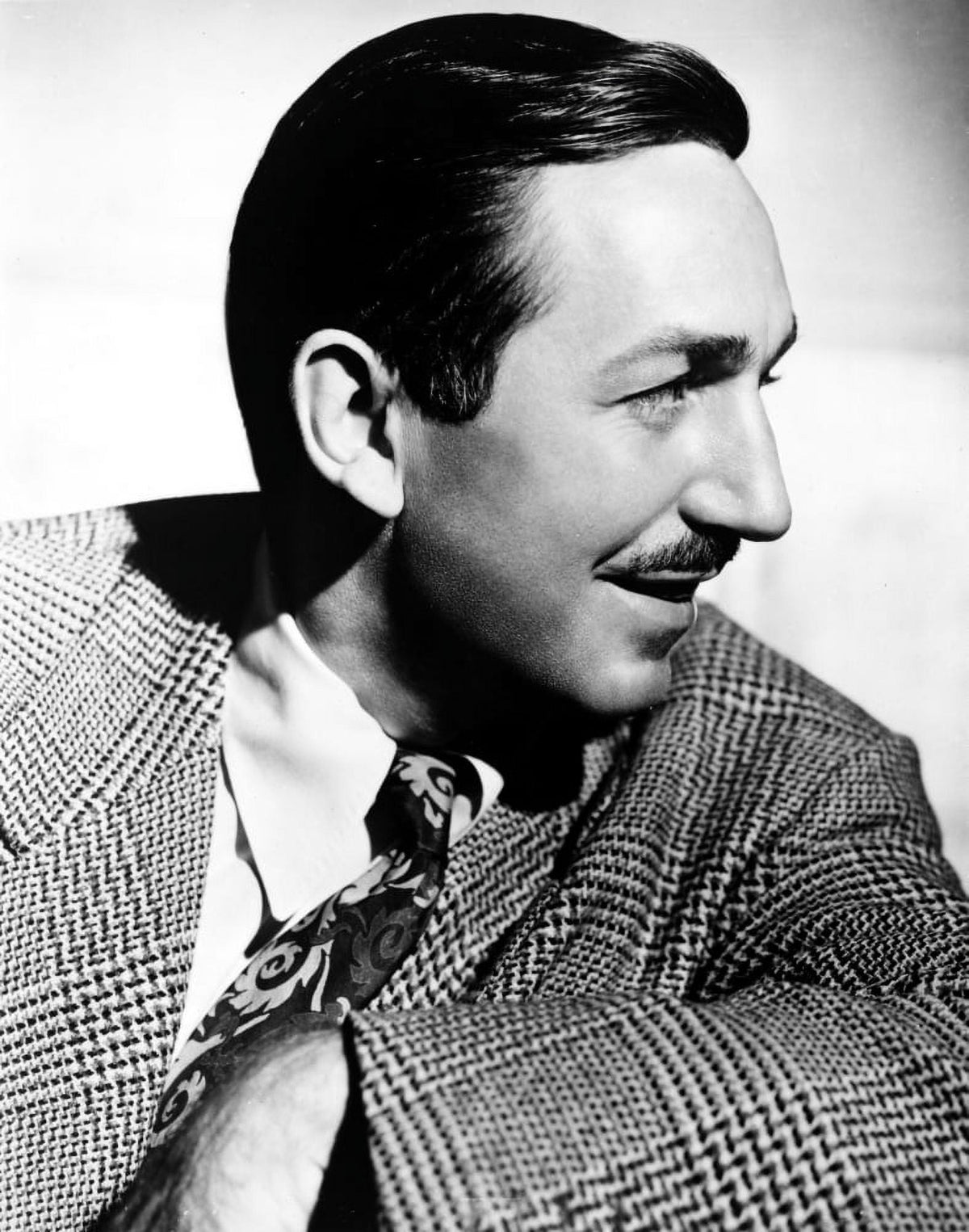 Walt Disney classic photo print showcasing beloved characters.