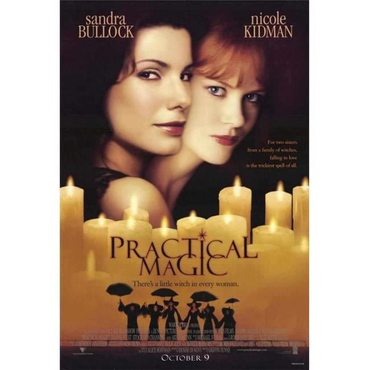 Practical Magic Movie Poster Print 27x40