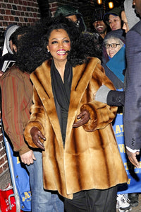 Diana Ross Late Show appearance photo print by Ray Tamarra from January 16, 2007.