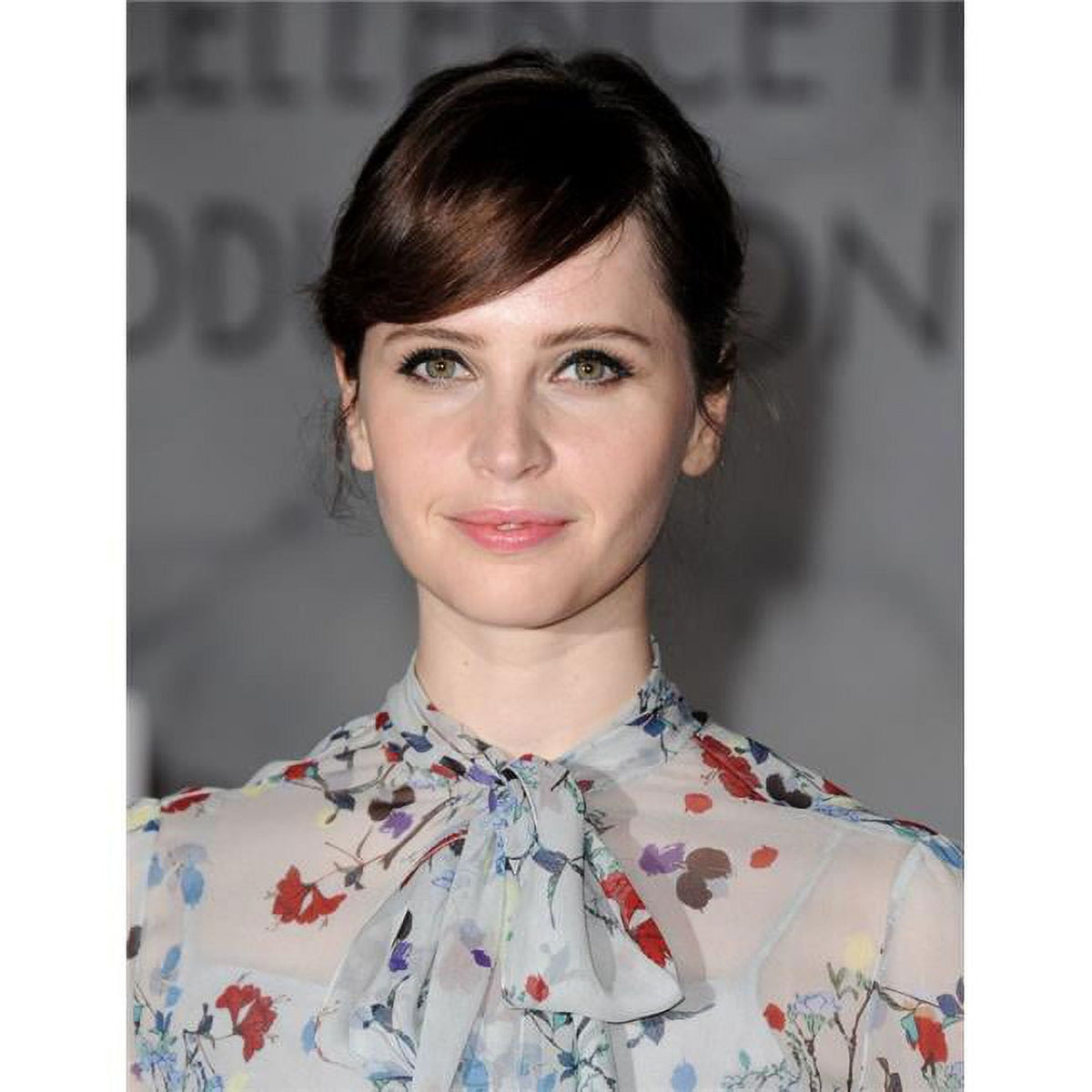 Felicity Jones at the 19th Annual Art Directors Guild Excellence in Production Design Awards photo print.