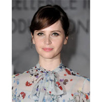 Felicity Jones at the 19th Annual Art Directors Guild Excellence in Production Design Awards photo print.