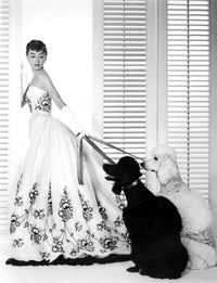 Audrey Hepburn 1954 fashion photo print wearing Givenchy gown.