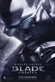 Blade Trinity Movie Poster 11x17 print, action movie decor