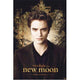 Twilight New Moon Edward promotional movie poster 11x17