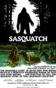 Sasquatch the Legend of Bigfoot Movie Poster 11x17 print.