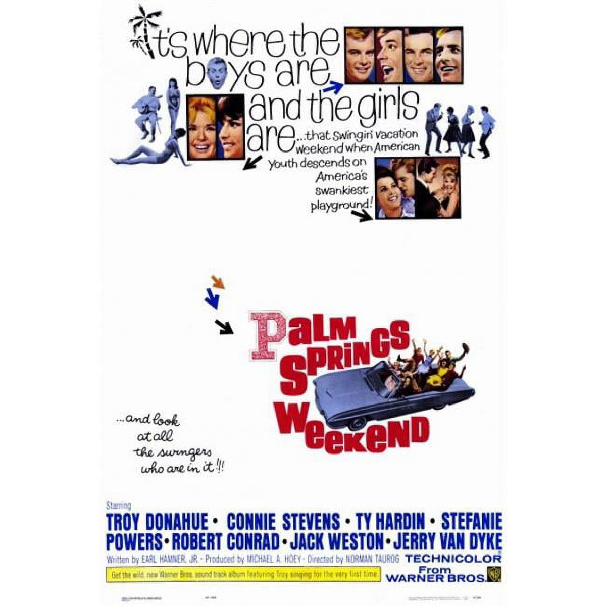Palm Springs Weekend Movie Poster Print 27x40