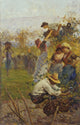The Grape Harvest Poster Print showcasing vibrant vineyard artwork.