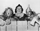 Wizard of Oz photo print featuring Cowardly Lion, Scarecrow, and Tinman.