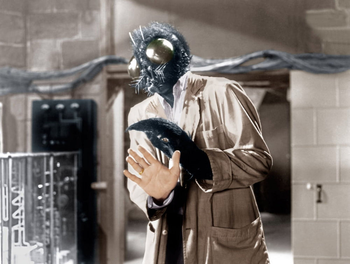 The Fly movie photo print featuring David Hedison from the 1958 classic film.