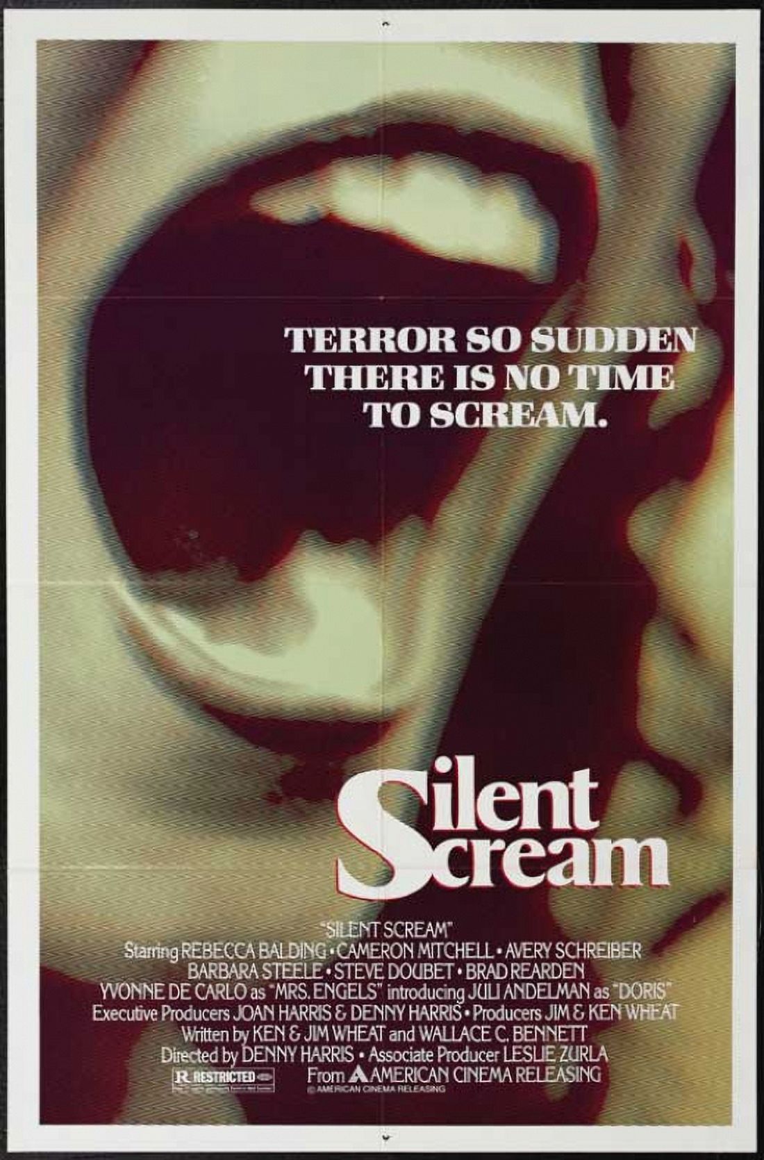 The Silent Scream movie poster 11x17 print.