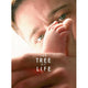 The Tree of Life Movie Poster Print 27x40