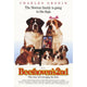 Beethoven's 2nd movie poster print featuring the lovable St. Bernard.