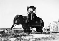 Margate Elephant Hotel and Lucy the Elephant C1900 photograph poster print