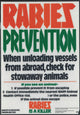 Rabies Prevention Poster Print educational artwork 1977