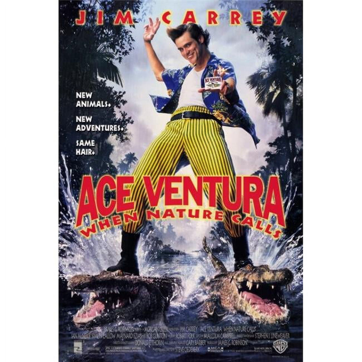 Ace Ventura: When Nature Calls movie poster print 27x40