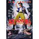 Ace Ventura: When Nature Calls movie poster print 27x40