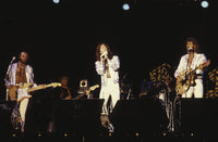 The Bee Gees live performance photo print capturing the band's iconic stage presence.