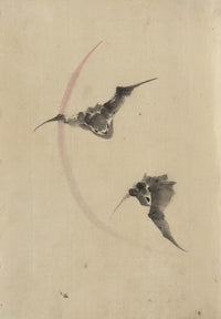 Two Bats Flying art print by Katsushika Hokusai, showcasing bats in flight.