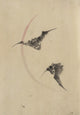 Two Bats Flying art print by Katsushika Hokusai, showcasing bats in flight.