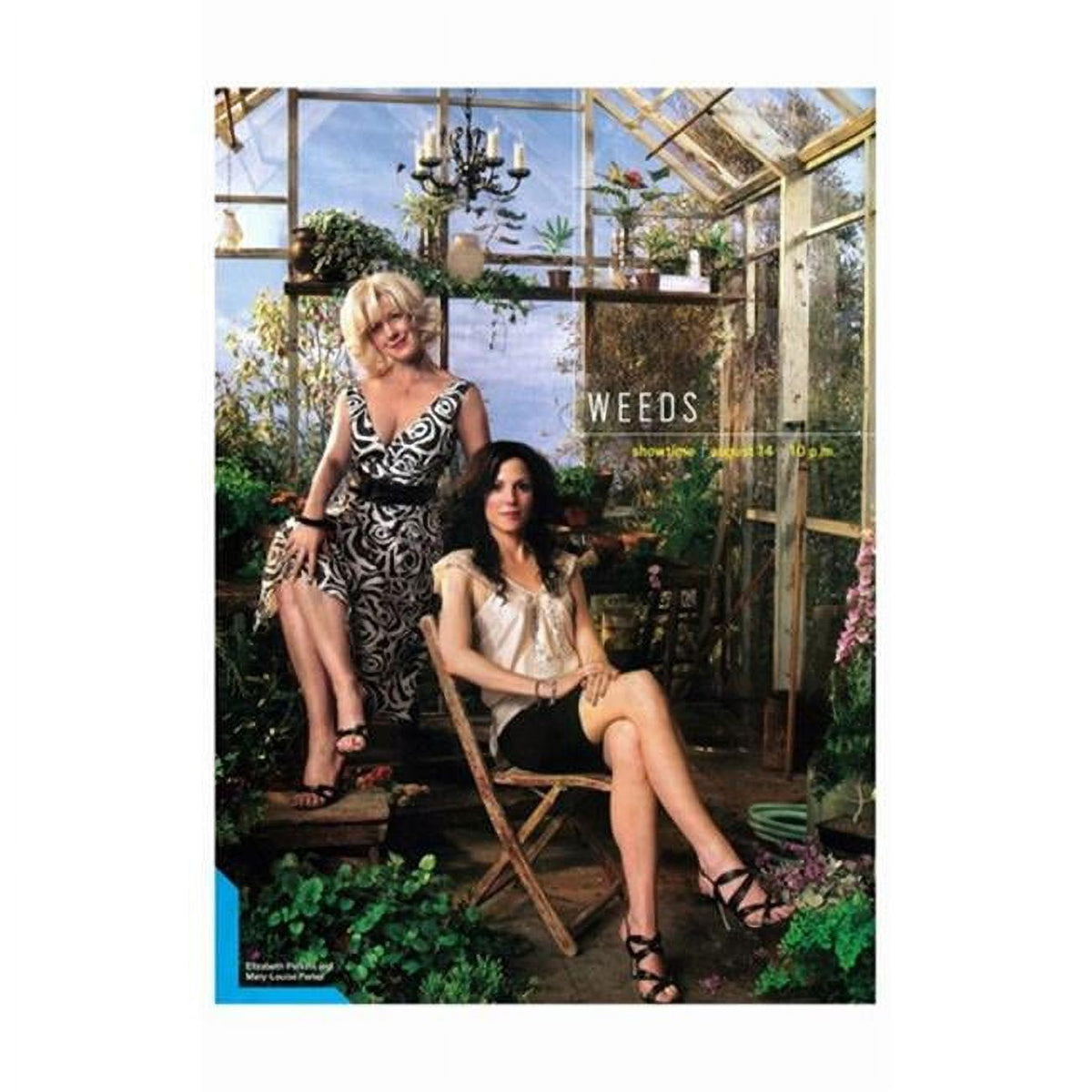 Weeds TV Show Movie Poster - 11x17 Print