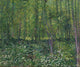 Vincent van Gogh Trees and Undergrowth art print