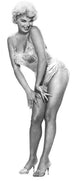 Barbara Nichols Legs Photo Print showcasing classic cinema elegance.