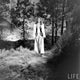 Alexis Smith Life Magazine Pose 2 Photo Print, elegant classic film art.