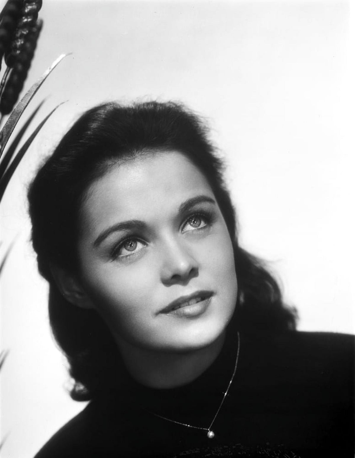 Classic portrait photo print of Joan Blackman, vintage cinema artwork.