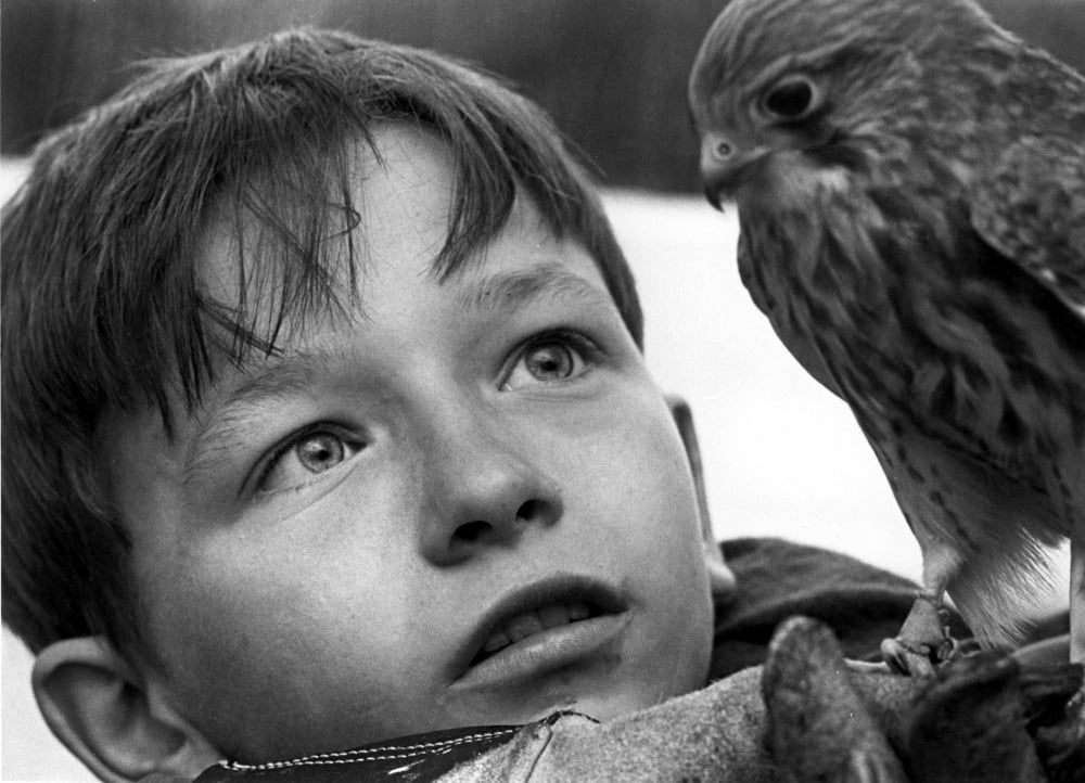Kes Movie Photo Print - Available in multiple sizes.