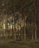 View In The Woods art print by Theophile De Bock featuring a serene forest scene with crows.