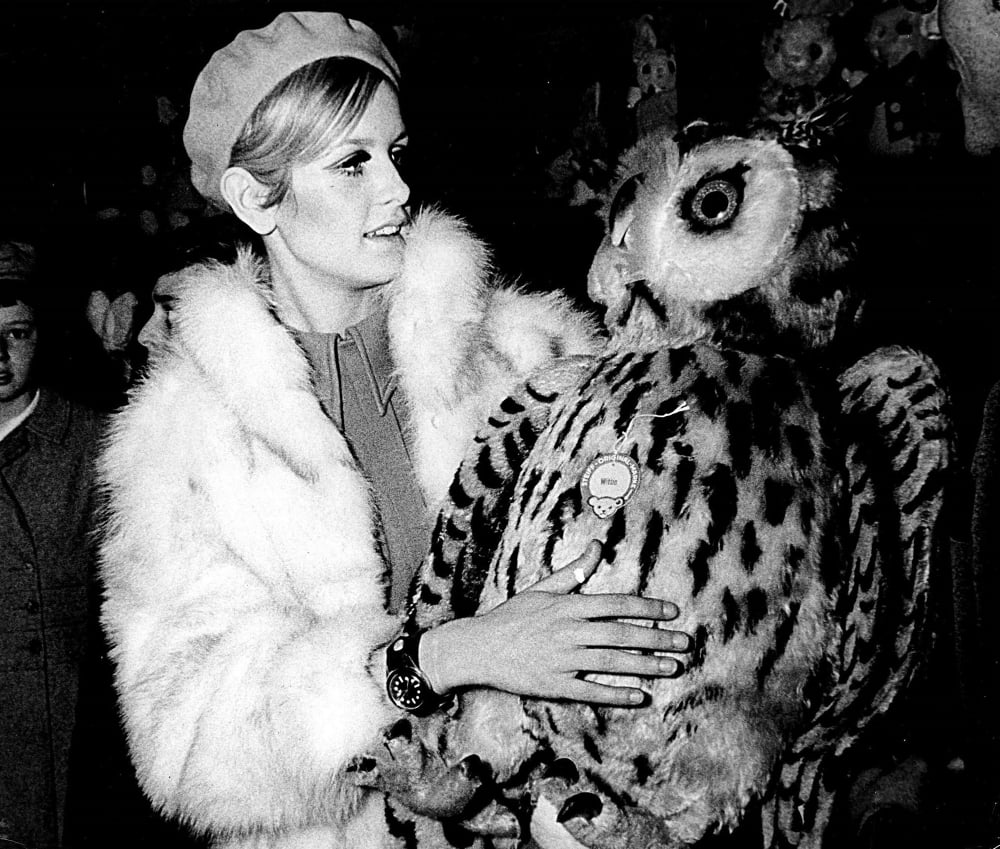 Photo print of Twiggy wearing a fur coat