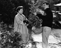 All That Heaven Allows movie photo print featuring Jane Wyman and Rock Hudson