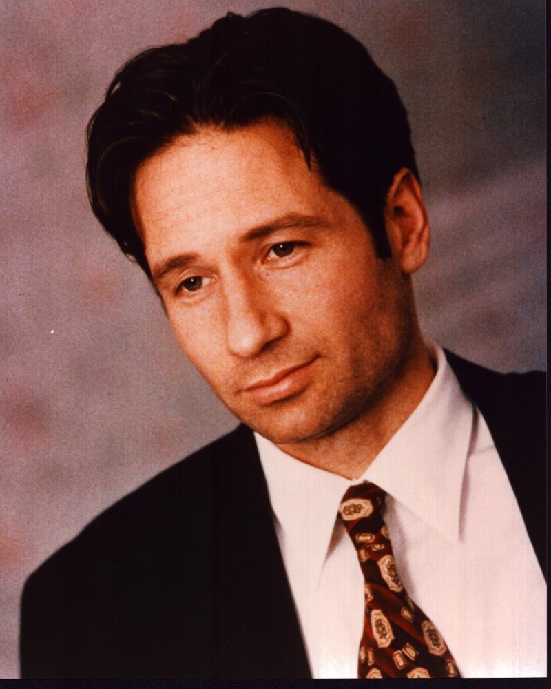 David Duchovny in an elegant suit with a patterned tie photo print