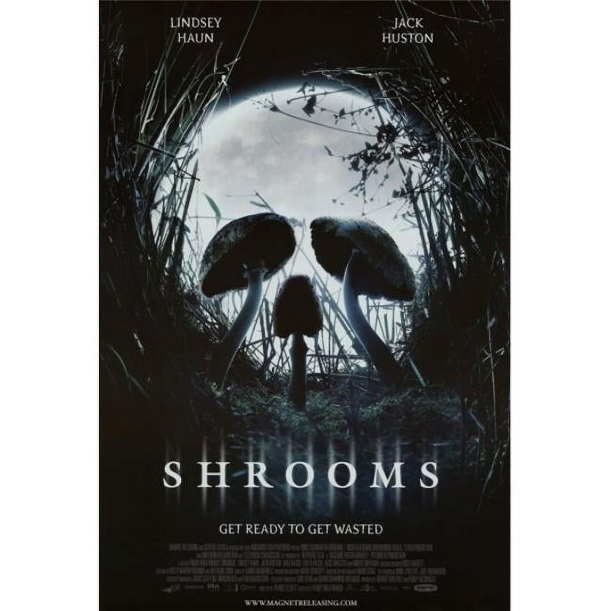 Shrooms Movie Poster Print in 27x40 size, vibrant design for movie fans.