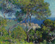 Bordighera art print by Claude Monet showcasing vibrant coastal landscape.