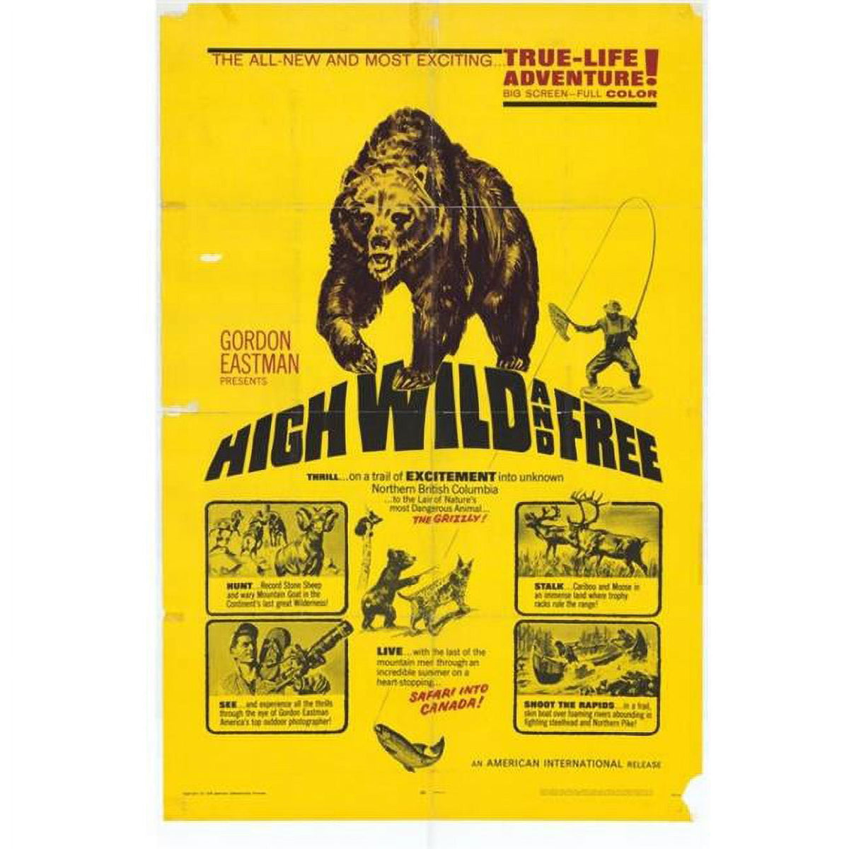 High Wild and Free movie poster print 27x40