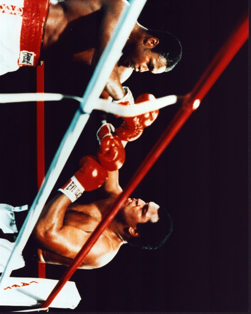 Larry Holmes and Muhammad Ali boxing photo print - iconic sports moment