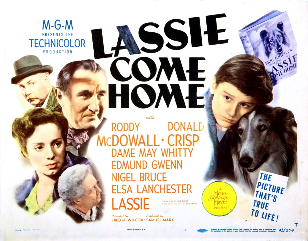 Lassie Come Home movie poster print, available in multiple sizes.