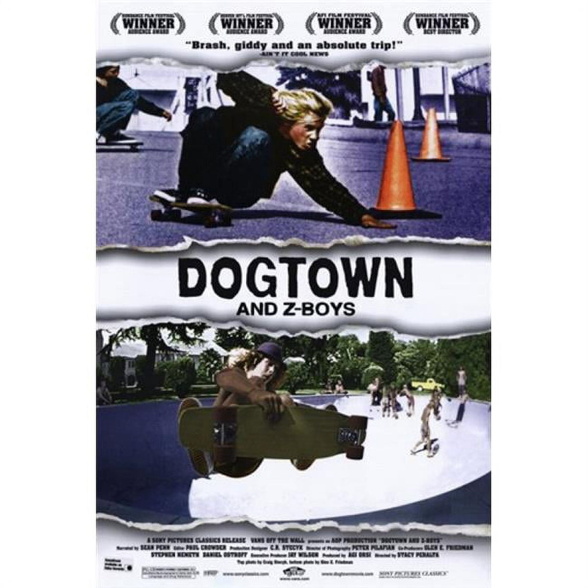 Dogtown and Z-Boys Movie Poster - 11x17 size, vibrant skateboarding culture art.