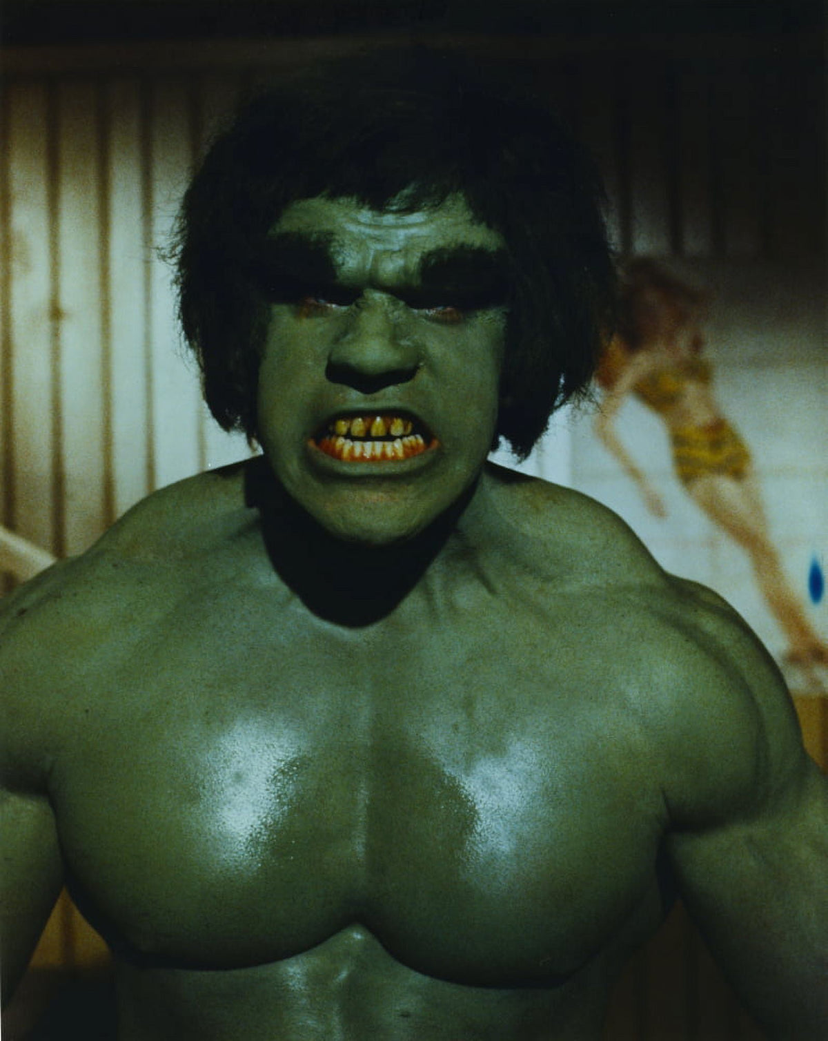 Lou Ferrigno Incredible Hulk Photo Print 8 x 10