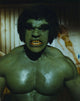 Lou Ferrigno Incredible Hulk Photo Print 8 x 10