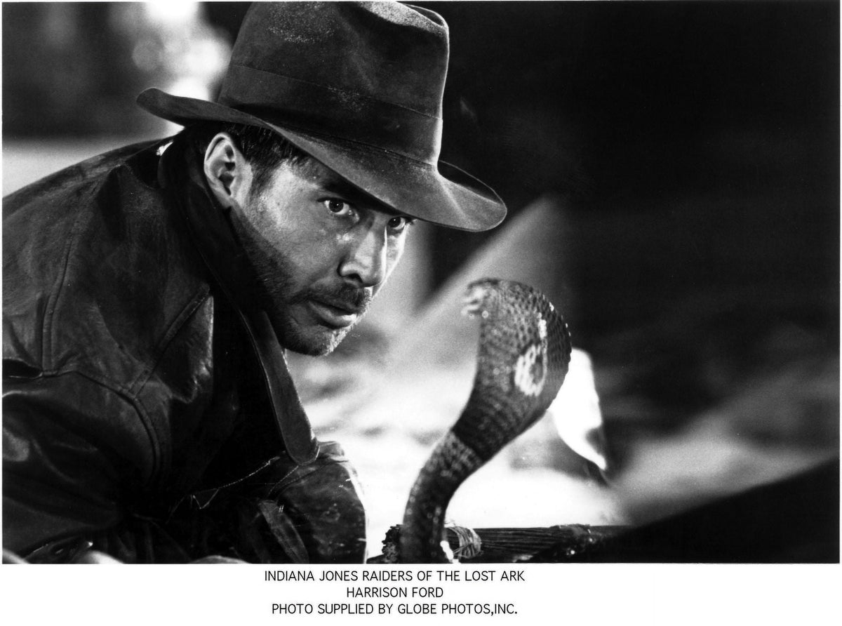Harrison Ford with a cobra in Raiders of the Lost Ark photo print