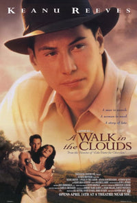 A Walk in the Clouds movie poster print 27x40 inches