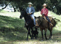 Ronald and Nancy Reagan riding horses on ranch in Santa Barbara, California photo print.